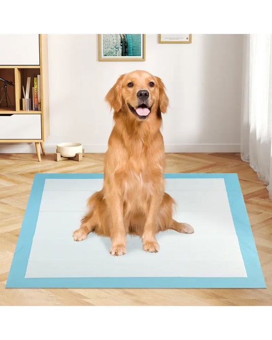 Dog and Puppy Pee Pads 36’’ x 36’’ (100 Counts) for Potty Training-Blue - Blue - Dog Supplies