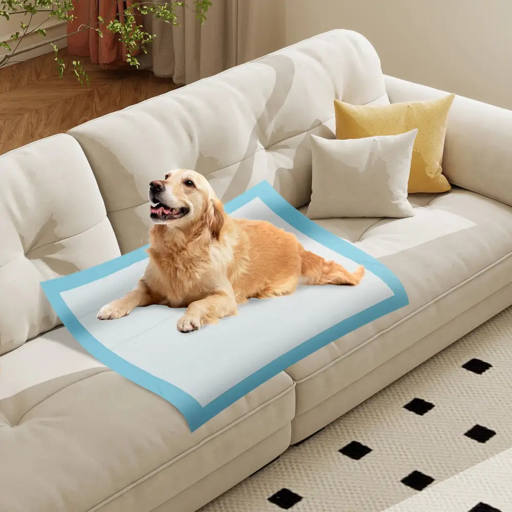 Dog and Puppy Pee Pads 36’’ x 36’’ (100 Counts) for Potty Training-Blue - Blue - Dog Supplies