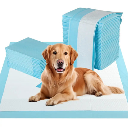 Dog and Puppy Pee Pads 36" x 36" (100 Counts) for Potty Training - Blue - Oasis Home Essentials