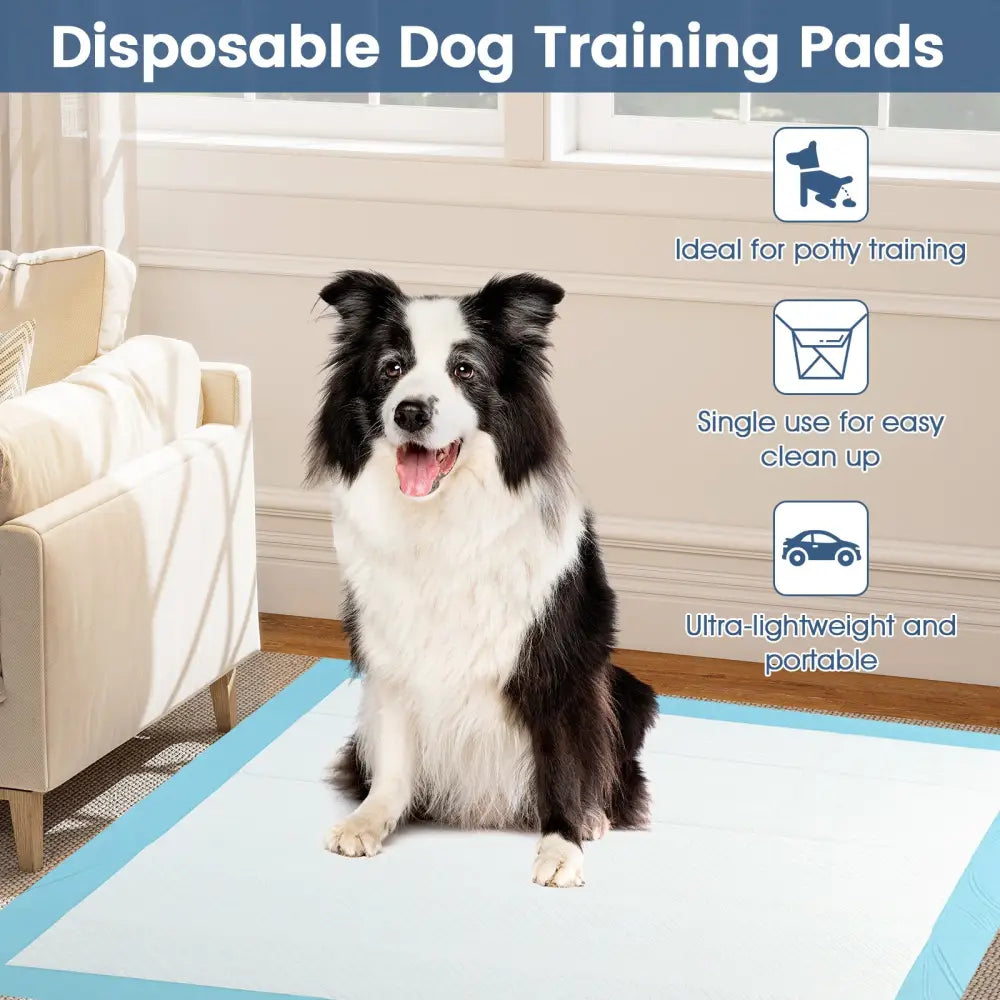 Dog and Puppy Pee Pads 36’’ x 36’’ (100 Counts) for Potty Training-Blue - Blue - Dog Supplies