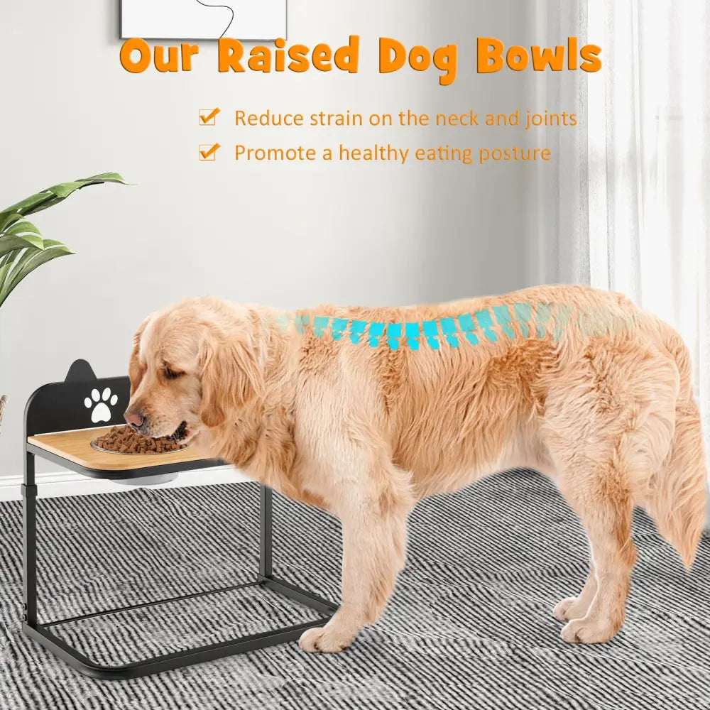 Dog Bowl Stand with 2 Stainless Steel Food Water Bowls - Dog Supplies