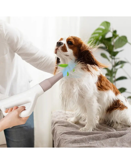 Dog Cat Hair Blower with Negative Ion Function and Adjustable Temperature - White - Dog Supplies