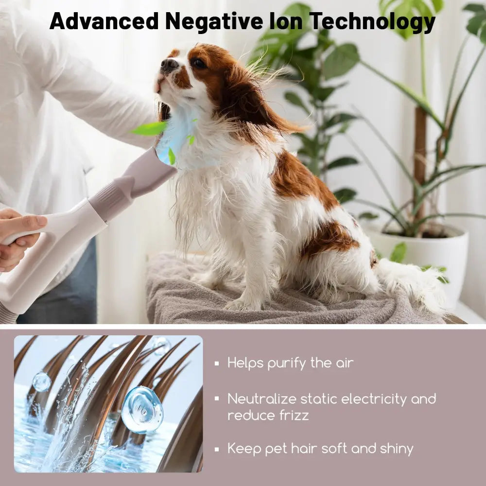 Dog Cat Hair Blower with Negative Ion Function and Adjustable Temperature - White - Dog Supplies