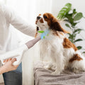 Dog Cat Hair Blower with Negative Ion Function and Adjustable Temperature - White - Dog Supplies
