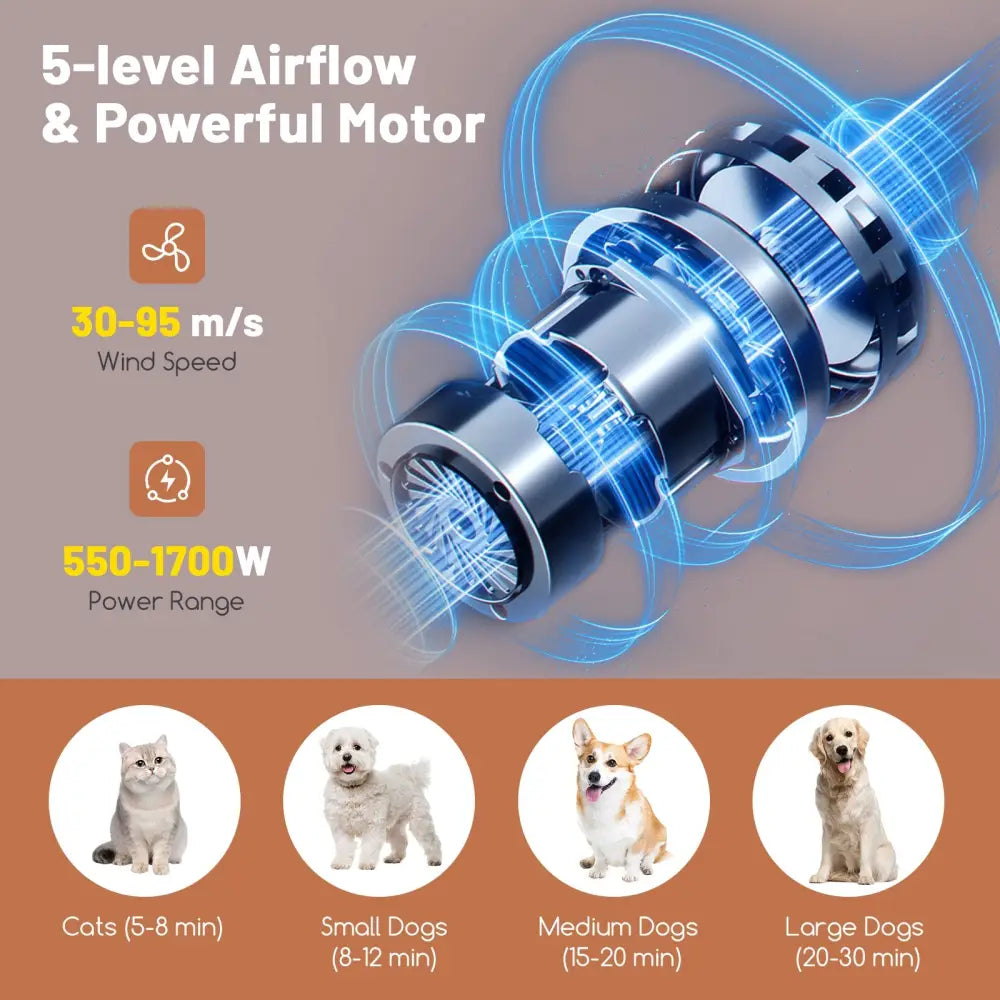 Dog Cat Hair Blower with Negative Ion Function and Adjustable Temperature - White - Dog Supplies