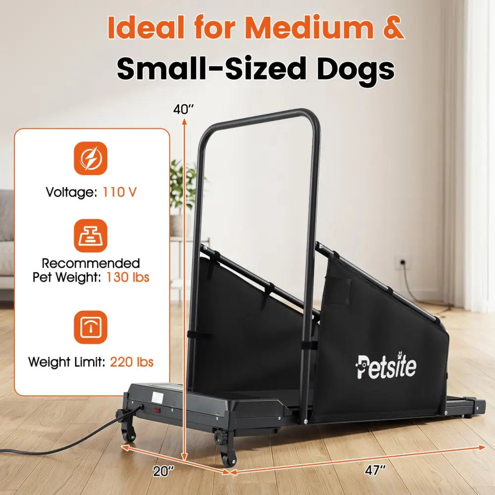 Dog Treadmill with Remote Control and LCD Display for Small Medium Dogs-Black - Black - Dog Supplies