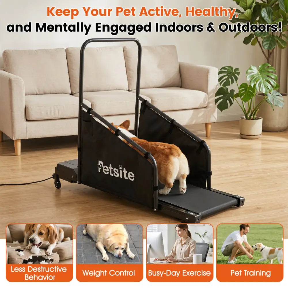 Dog Treadmill with Remote Control and LCD Display for Small Medium Dogs-Black - Black - Dog Supplies