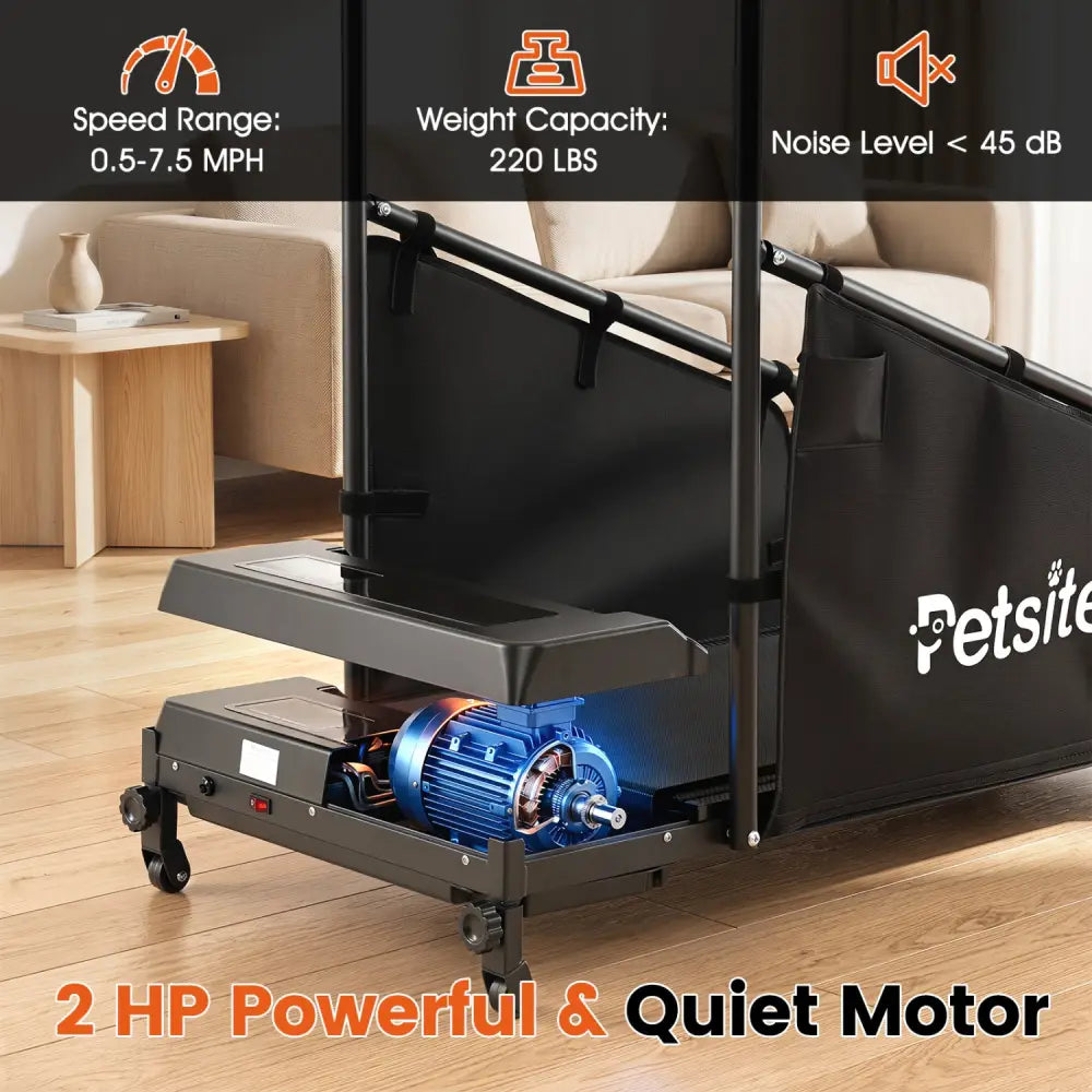 Dog Treadmill with Remote Control and LCD Display for Small Medium Dogs-Black - Black - Dog Supplies