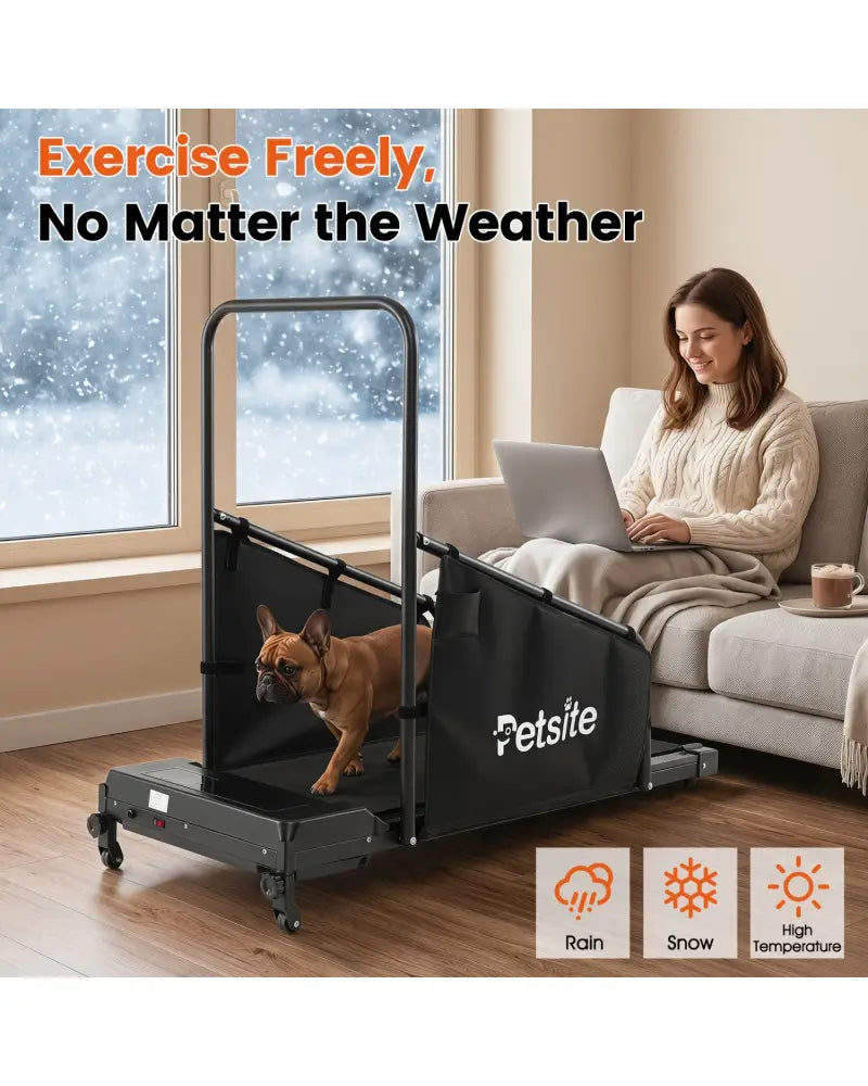 Dog Treadmill with Remote Control and LCD Display for Small Medium Dogs-Black - Black - Dog Supplies