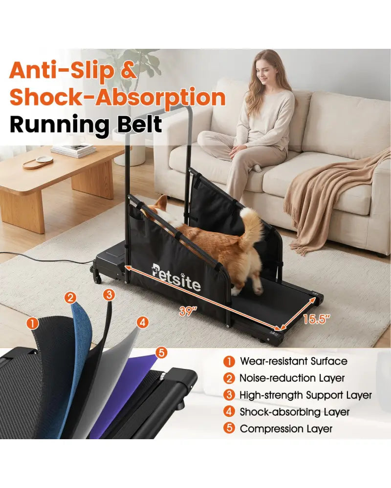 Dog Treadmill with Remote Control and LCD Display for Small Medium Dogs-Black - Black - Dog Supplies