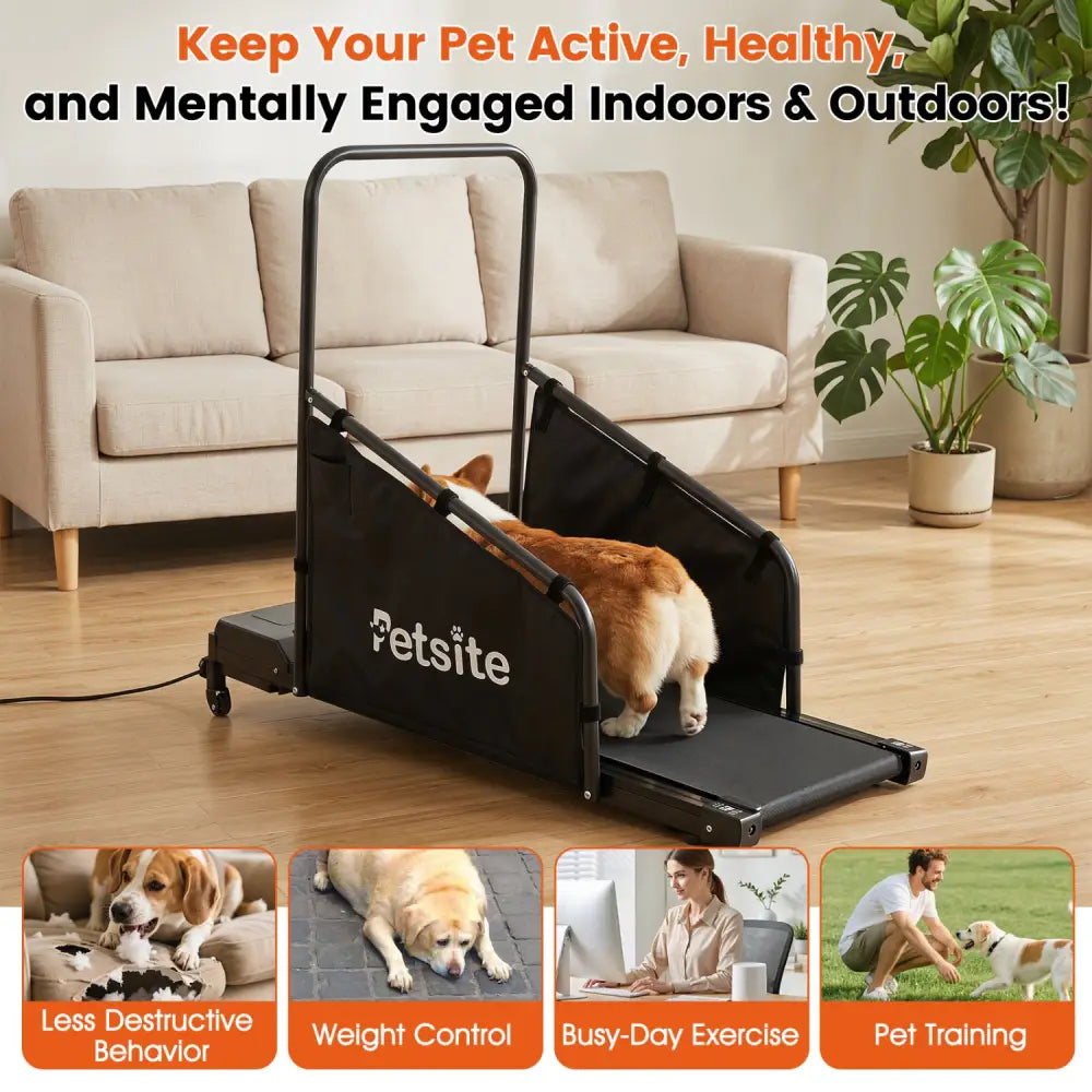 Dog Treadmill with Remote Control and LCD Display for Small Medium Dogs-Black - Black - Dog Supplies