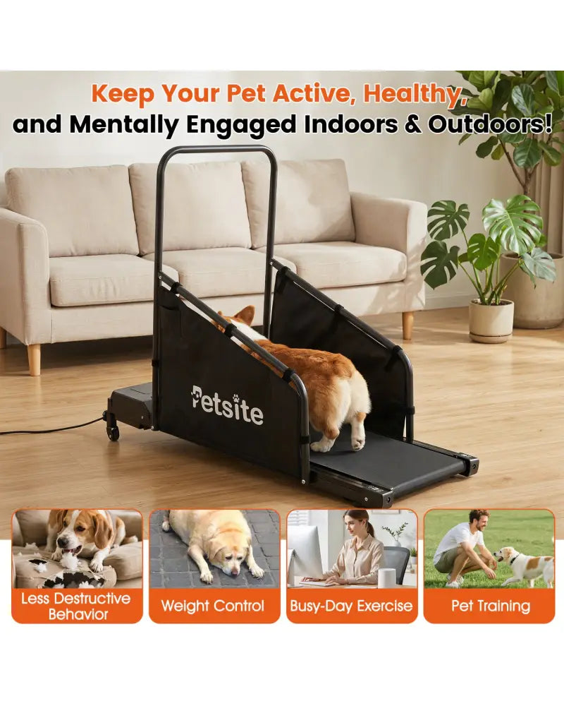 Dog Treadmill with Remote Control and LCD Display for Small Medium Dogs-Black - Black - Dog Supplies