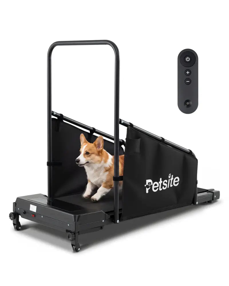 Dog Treadmill with Remote Control and LCD Display for Small Medium Dogs-Black - Black - Dog Supplies