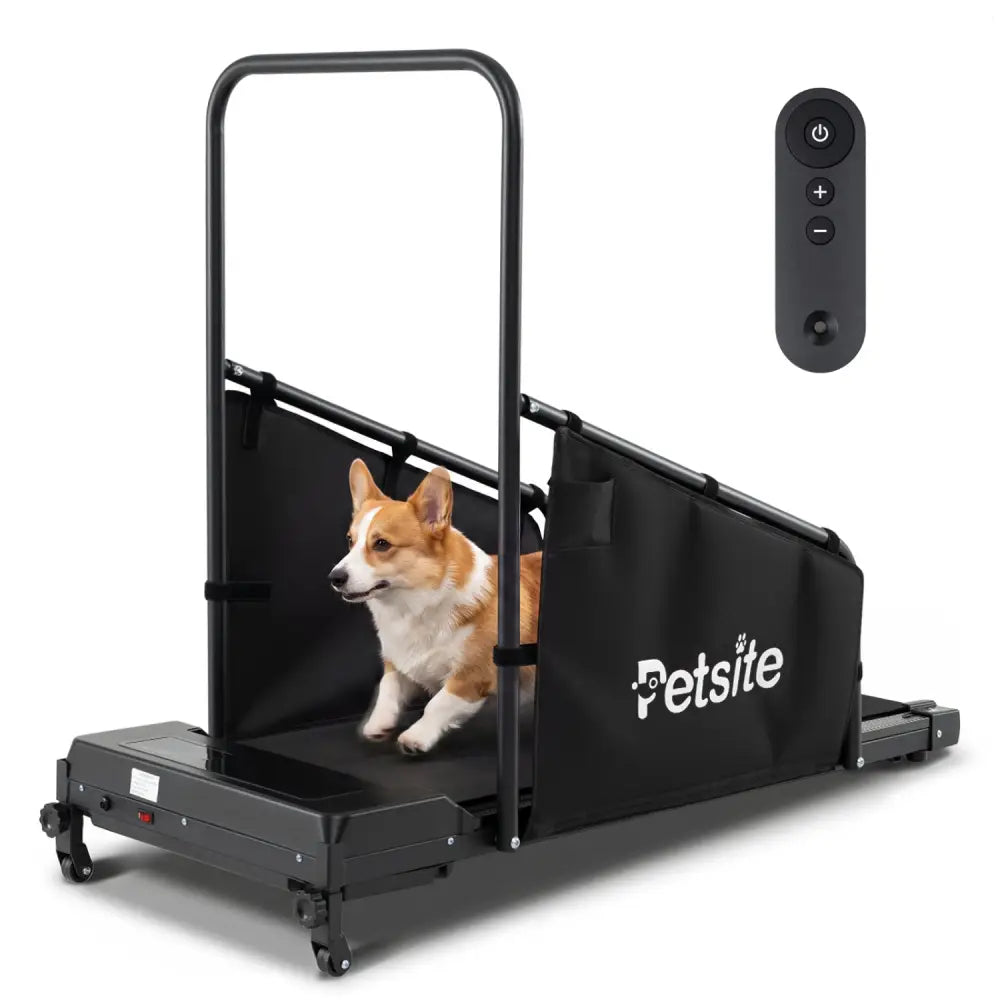 Dog Treadmill with Remote Control and LCD Display for Small Medium Dogs-Black - Black - Dog Supplies