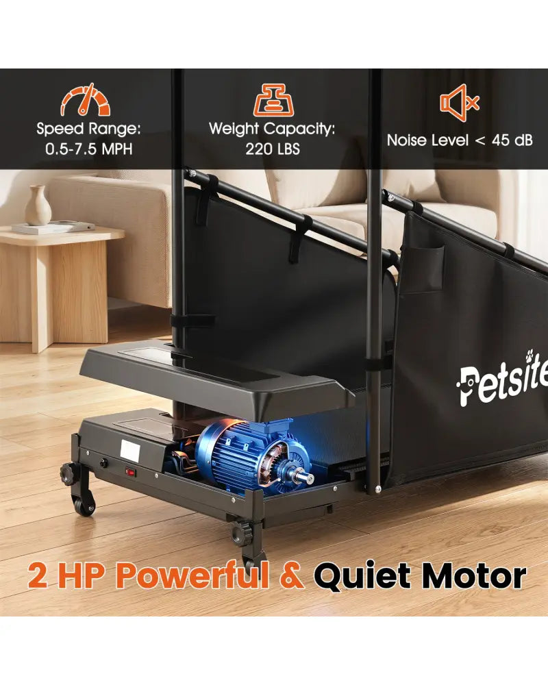 Dog Treadmill with Remote Control and LCD Display for Small Medium Dogs-Black - Black - Dog Supplies