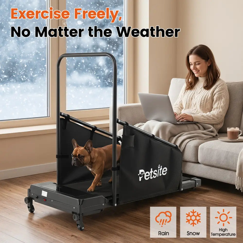 Dog Treadmill with Remote Control and LCD Display for Small Medium Dogs-Black - Black - Dog Supplies