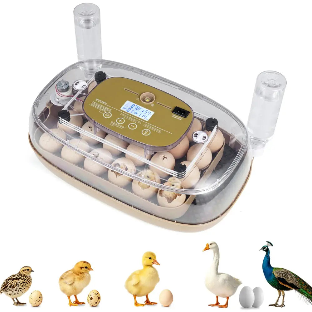 Egg Incubator with Temp and Humidity Control - Chicken Coops