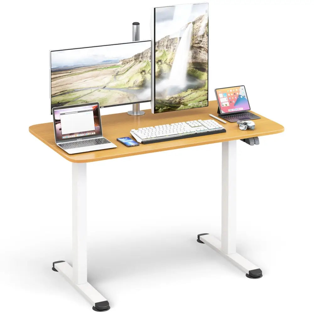 Electric Standing Desk Adjustable Stand up Computer Desk Anti-collision-Natural - Natural - Standing Desks