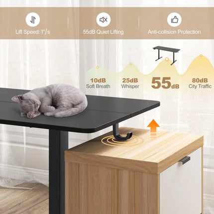 Electric Standing Desk with 3 Memory Heights and 2 Hanging Hooks and Cable Holes-Black - Black - Standing Desks