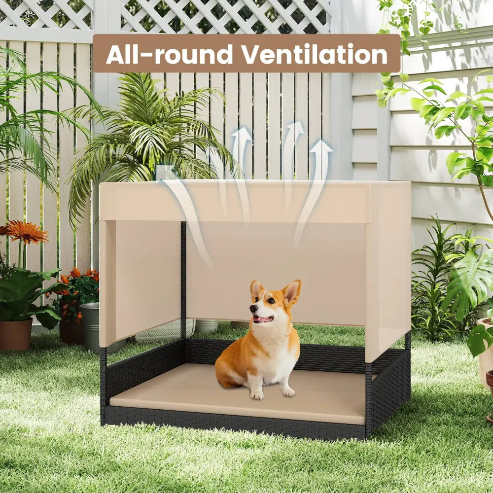 Elevated Wicker Dog House for Small to Medium Breeds-Black - Black - Dog Supplies