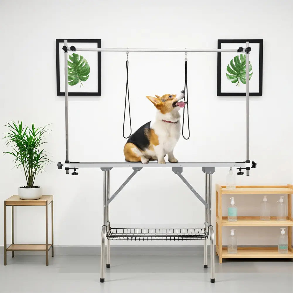 Foldable Dog Grooming Table with Height Adjustable Arms-Black - Black - Dog Supplies