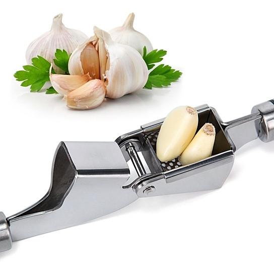Garlic press with cloves of garlic and greenery on a white background