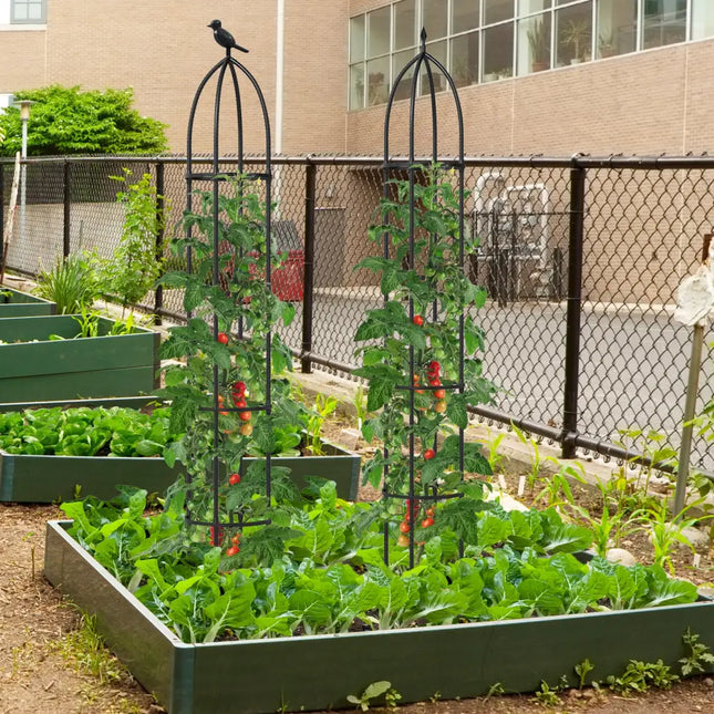 GIANTEX 2-Pack Garden Obelisk Trellis for Climbing Plants-Black - Black - Plant Supports