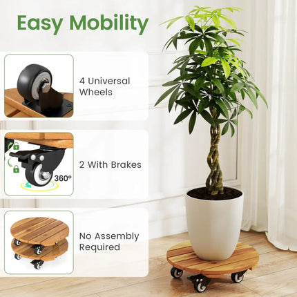 Heavy Duty Acacia Wood Rolling Plant Stand with 360° Lockable Casters-Set of 2 - Plant Stands