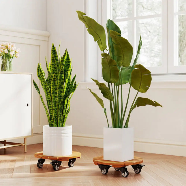 Heavy Duty Acacia Wood Rolling Plant Stand with 360° Lockable Casters-Set of 2 - Plant Stands