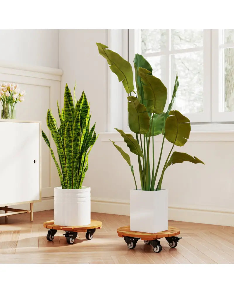 Heavy Duty Acacia Wood Rolling Plant Stand with 360° Lockable Casters-Set of 2 - Plant Stands