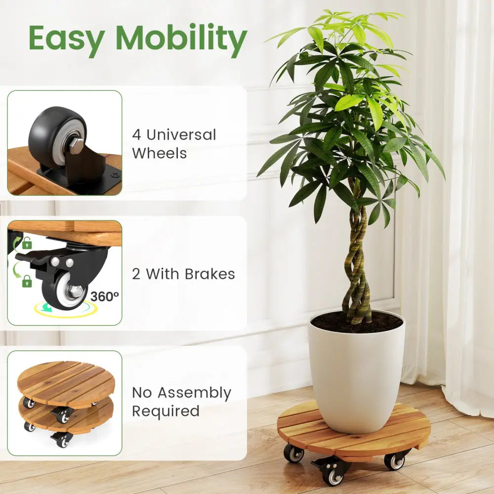 Heavy Duty Acacia Wood Rolling Plant Stand with 360° Lockable Casters-Set of 2 - Plant Stands