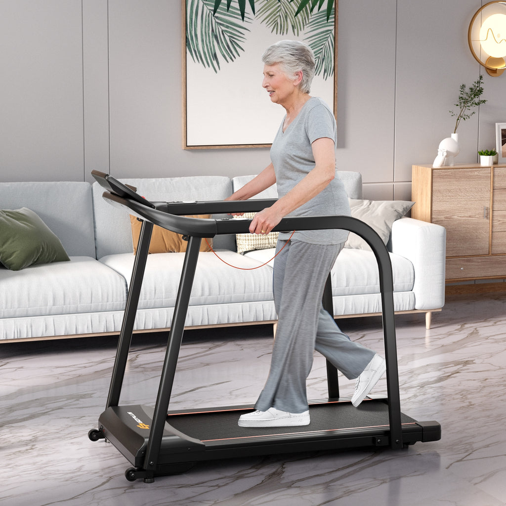 2.5 HP Walking Treadmill with Long Handrails for Seniors-Black