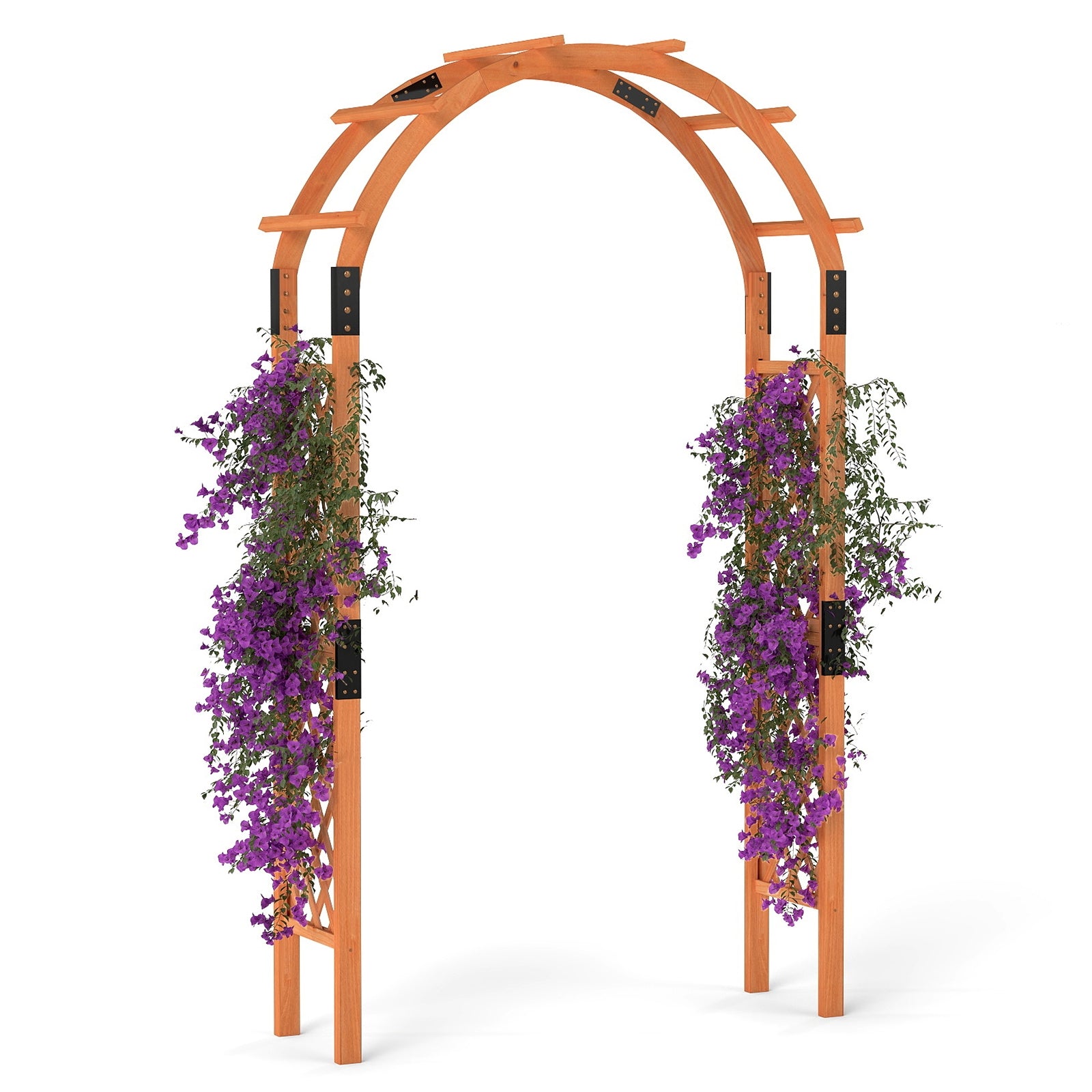 Arche de jardin en bois de 7,7 pieds pour plantes grimpantes