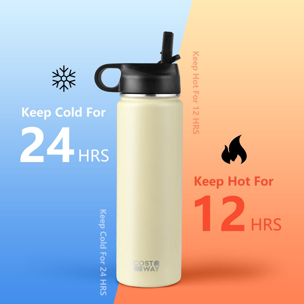 22 Oz Double-walled Insulated Stainless Steel Water Bottle with 2 Lids and Straw-Beige