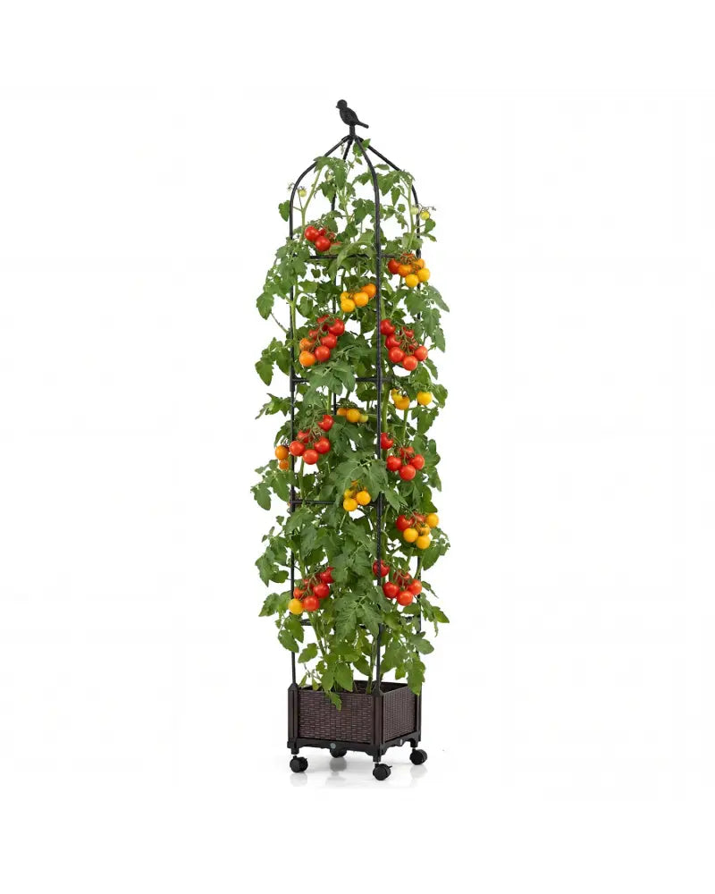 Indoor Outdoor Raised Garden Bed with Trellis and Self-Drainage and Wheels-Black - Black - Plant Supports