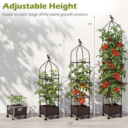 Indoor Outdoor Raised Garden Bed with Trellis and Self-Drainage and Wheels-Black - Black - Plant Supports