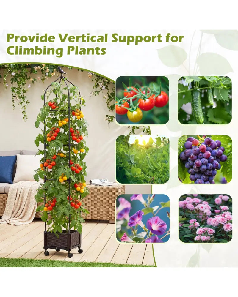 Indoor Outdoor Raised Garden Bed with Trellis and Self-Drainage and Wheels-Black - Black - Plant Supports