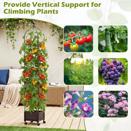 Indoor Outdoor Raised Garden Bed with Trellis and Self-Drainage and Wheels-Black - Black - Plant Supports