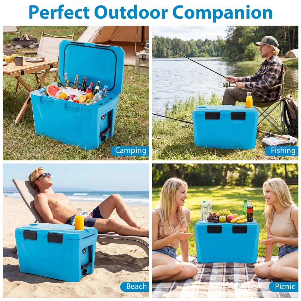 Insulated Portable Cooler Hard Shell Ice Chest with 2 Cup Holders Bottle Opener and Drain Plug-Blue - Blue - Coolers