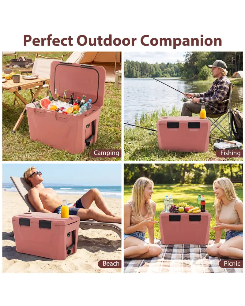 Insulated Portable Cooler Hard Shell Ice Chest with 2 Cup Holders Bottle Opener and Drain Plug-Pink - Pink - Coolers