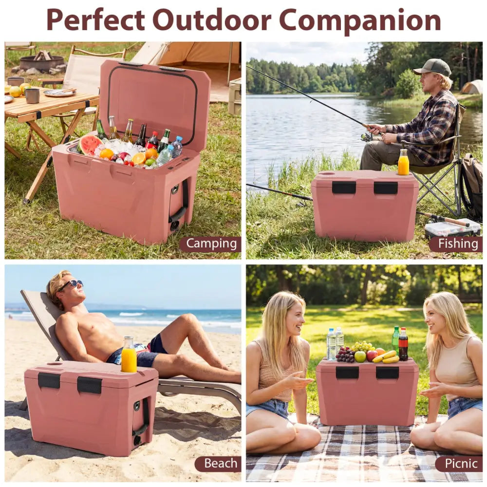 Insulated Portable Cooler Hard Shell Ice Chest with 2 Cup Holders Bottle Opener and Drain Plug-Pink - Pink - Coolers