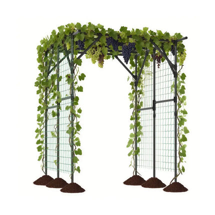 Large Garden Arch Trellis for Climbing Plants Outdoor Grape Vine Support-Black - Black - Outdoor Decor