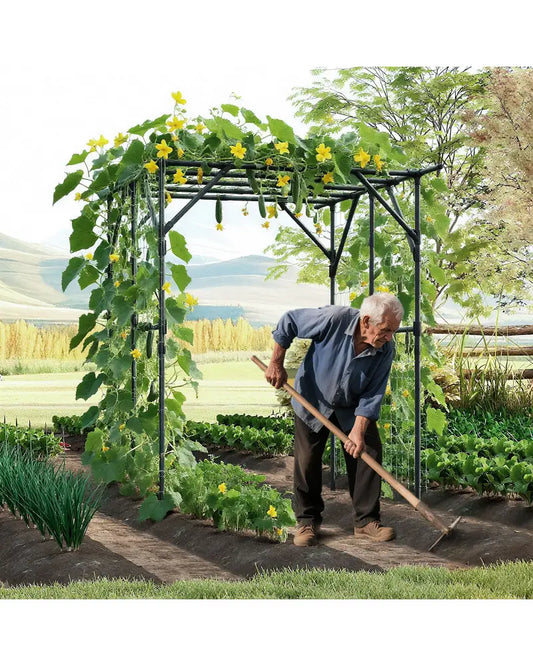 Large Garden Arch Trellis for Climbing Plants Outdoor Grape Vine Support-Black - Black - Garden Arbors