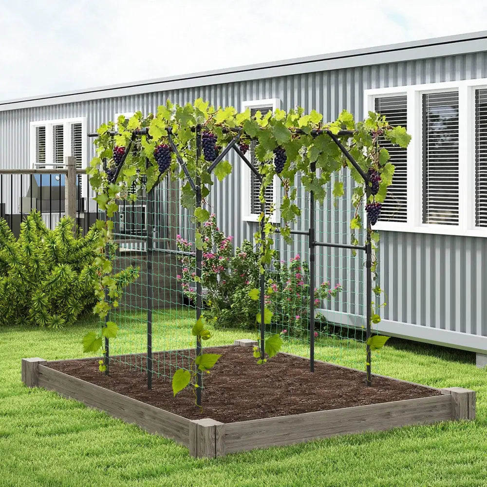 Large Garden Arch Trellis for Climbing Plants Outdoor Grape Vine Support-Black - Black - Garden Arbors