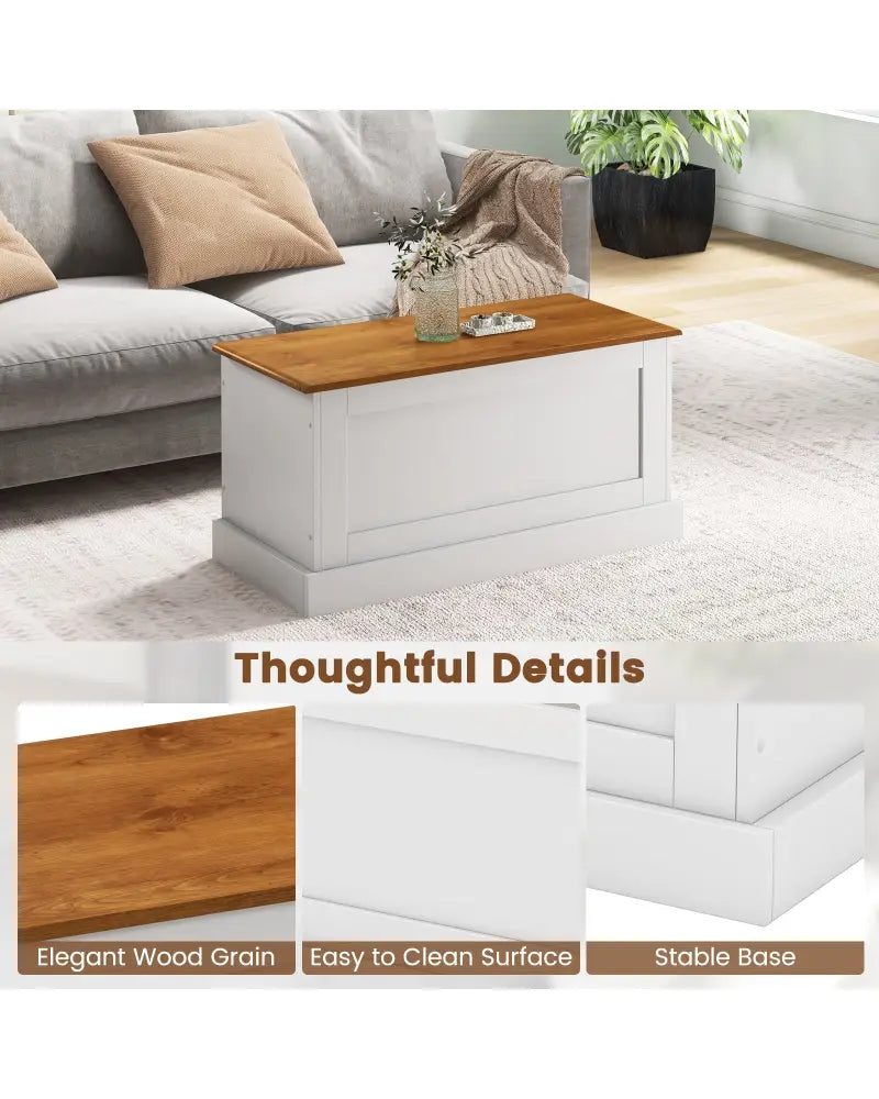 Large Storage Chest with Safety Metal Hinge-White - White - Shoe Racks & Storage Benches