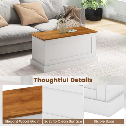 Large Storage Chest with Safety Metal Hinge-White - White - Shoe Racks & Storage Benches