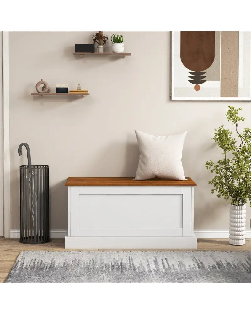 Large Storage Chest with Safety Metal Hinge-White - White - Shoe Racks & Storage Benches