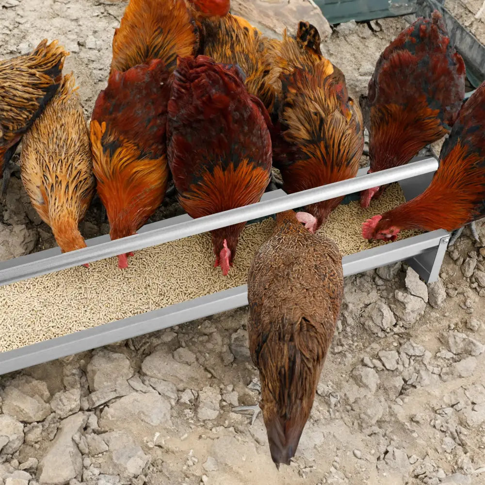 Metal Chicken Feeder Chicken Feeding Trough with Drainage Holes-Silver - Silver - Chicken Coops