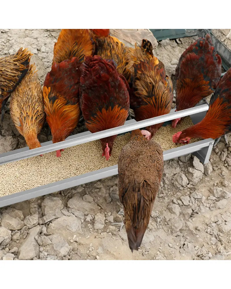 Metal Chicken Feeder Chicken Feeding Trough with Drainage Holes-Silver - Silver - Chicken Coops