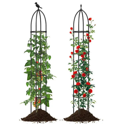 Metal Garden Arch and Obelisk Trellis Set for Climbing Plants - Garden